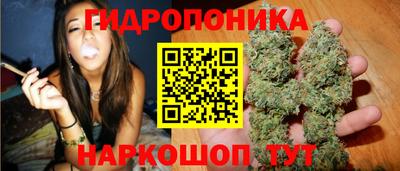 стафф Тверь