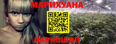 spice Тара