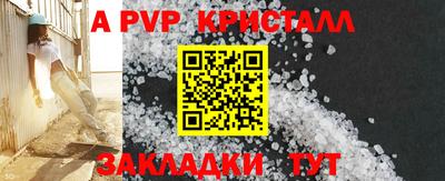 стафф Тверь