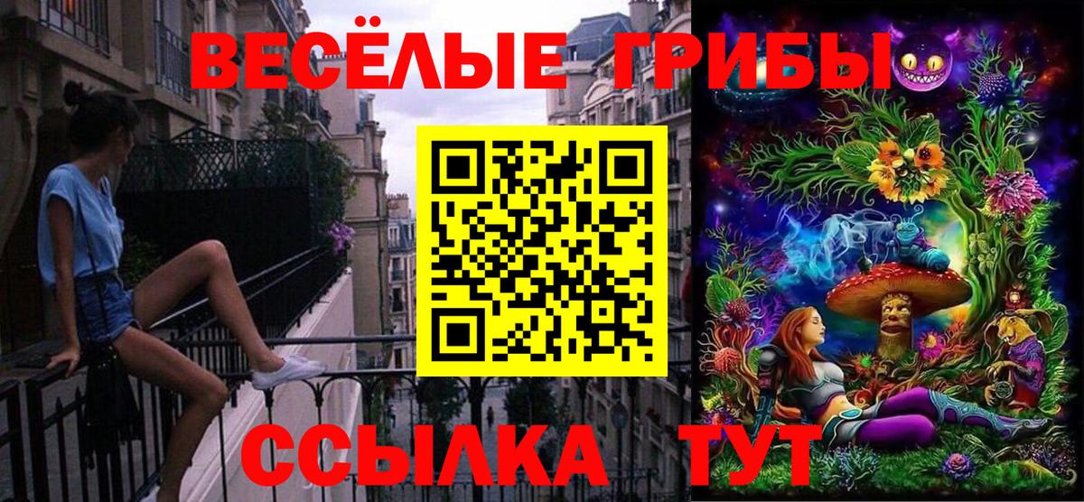 купить закладку  Псилоцибиновые грибы ЛСД  Вход с VPN  Боровичи 